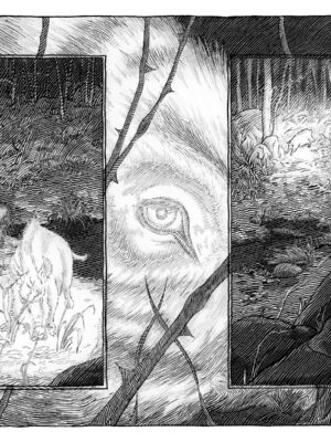 Rencontre Fantastique - Sanglier