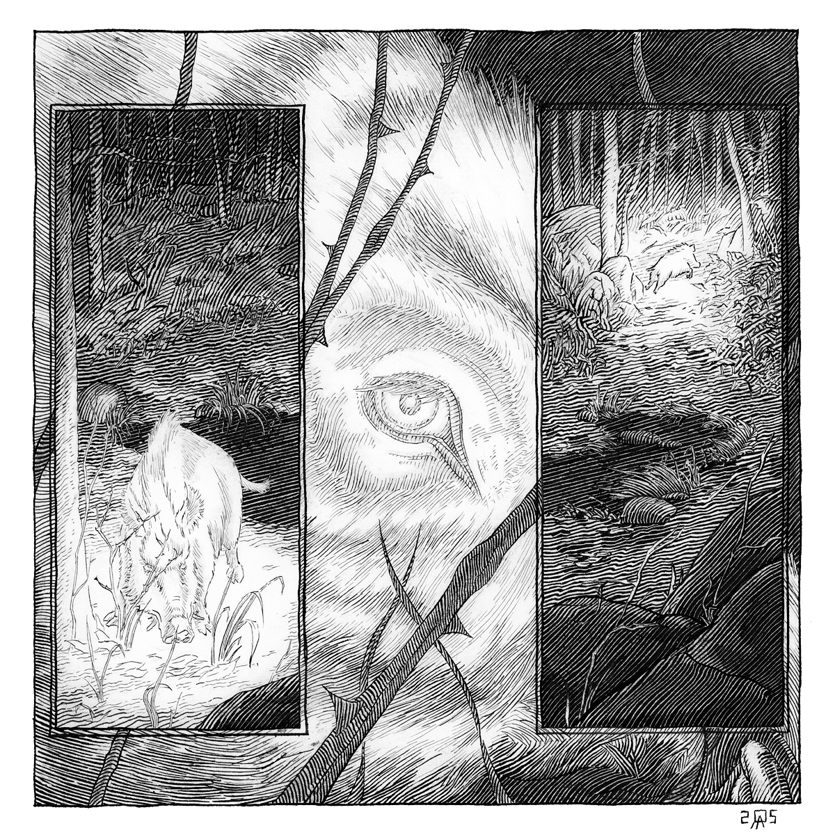 Rencontre Fantastique - Sanglier